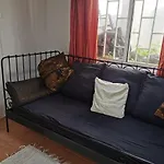 Casa De Gato Rustic