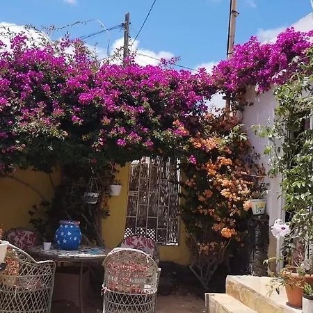 Casa De Gato Rustic Tahiche