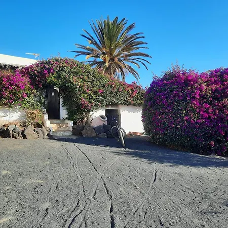 Casa De Gato Rustic *