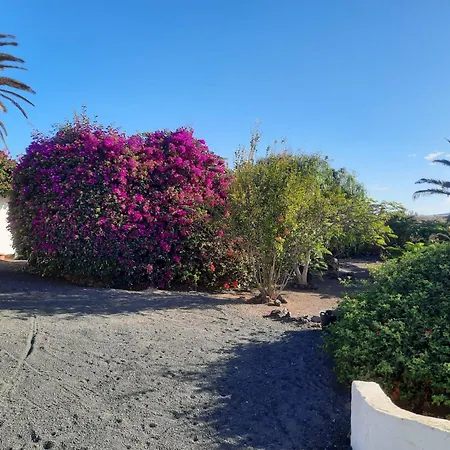 別荘 Casa De Gato Rustic