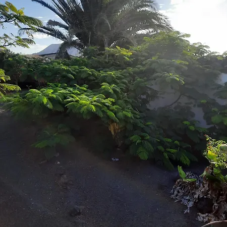 Casa De Gato Rustic 別荘 Tahiche