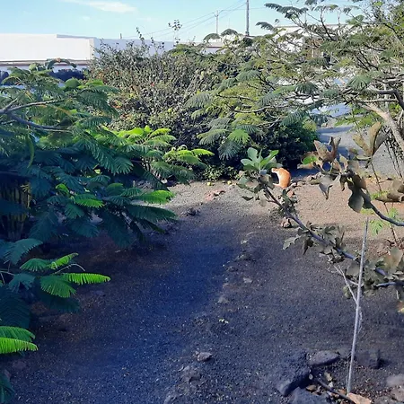 Casa De Gato Rustic *