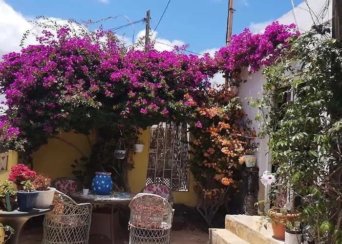 Casa De Gato Rustic Таиче