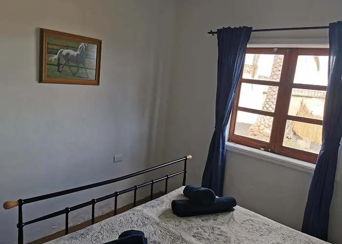 Casa De Gato Rustic