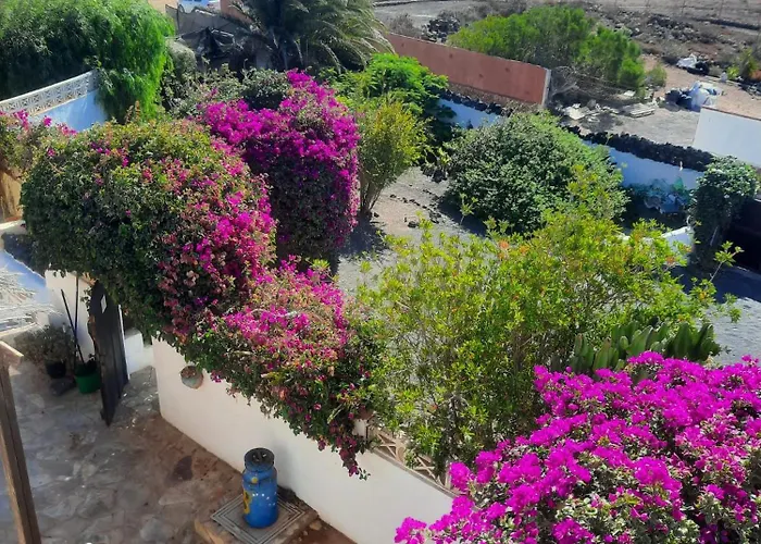 Дом отдыха Casa De Gato Rustic Таиче